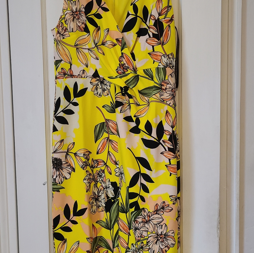 Dress/clothing